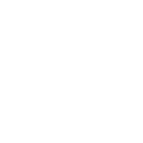 Joy Riders Logo